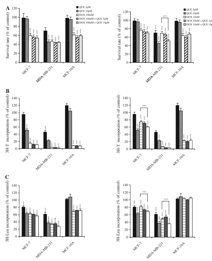 Fig. 2 Effect of a 3-day exposure to doxorubicin–quercetin combi- combi-nation on cell survival and DNA and protein synthesis