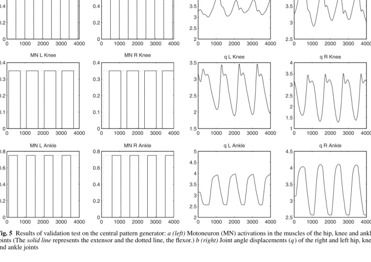 Fig. 5 Results of validation test on the central pattern generator: a (left) Motoneuron (MN) activations in the muscles of the hip, knee and ankle joints (The solid line represents the extensor and the dotted line, the flexor.) b (right) Joint angle displa