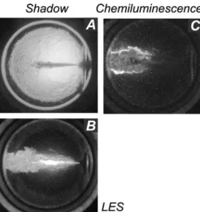 FIGURE 8 Shadowgraph A, chemiluminescence B, laser elastic scattering C, and LII D images obtained at ∼ 1 ms after SOI