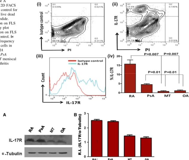 Fig. 1 IL-17 receptor A expression on FLS i 2D FACS plot showing Isotype control for IL-17RA along with live dead stain PI propidium iodide.