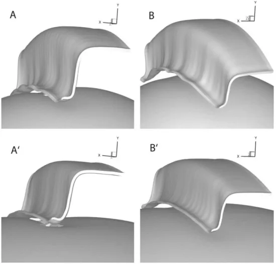 Fig. 7 Slab morphology for ‘‘Earth-like’’ (top) compared to the one of ‘‘flat Earth’’ (bottom) for two plates, one 6,000 km wide (a and a 0 ) and one 9,000 km wide (b and b 0 )