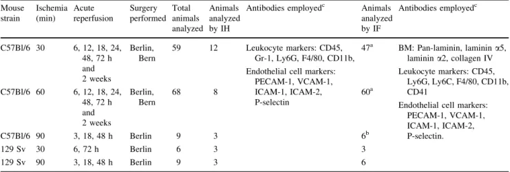 Table 1 Mouse tissues analyzed Mouse strain Ischemia(min) Acute reperfusion Surgery performed Total animals analyzed Animals analyzedby IH
