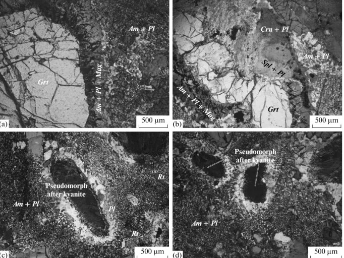 Fig. 2. Photomicrographs displaying the most important textures for our analysis (planepolarized light—Mineral abbreviations after Siivola and Schmid (2007))