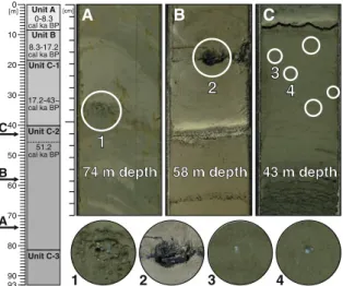 Fig. 2 Left Synthetic log of Potrok Aike sedimentary record (after Kliem et al. 2012) with brief descriptions of the lithostratigraphic units