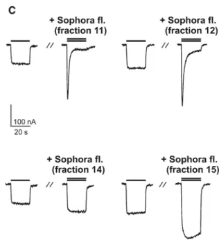 Fig. 2 HPLC-based activity profiling of Sophora flavescens extract (EtOAc) for GABA A receptor modulating properties