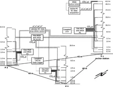 Figure 2. Schematic of experimental set-up: CO 2 proﬁles at P1, P2 and P3, each on a IRGA gas-multiplexer (solid lines), CO 2 comparison at P1, P2 and P3, all on one IRGA  gas-mul-tiplexer (dashed lines), and wind measurements in the trunk space (dotted li