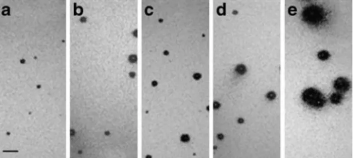Table 1 Insulin secretion from single beta cells evaluated per donor by RHPA after stimulation with 22.2 mmol/l glucose, with corresponding pancreas and beta cell characteristics