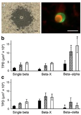 Fig. 7 Insulin secretion from intact islets. a, b Insulin secretion from human (a) (n =7) and mouse (b) (n=3) islets was assessed by static incubation after 1 h incubation at 2.2 (black bars), 12.2 mmol/