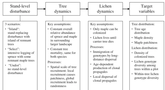 Figure 3. Overview of model structure with three scenarios, key assumptions and simulated processes of tree and lichen dynamics, and target output variables.