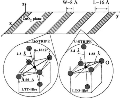 Fig. 4. Pictorial view of the distorted CuO 6 octahedra, left side, of the “LTT type” assigned to the distorted stripes and of the undistorted octahedra, right side, of the “LTO type”