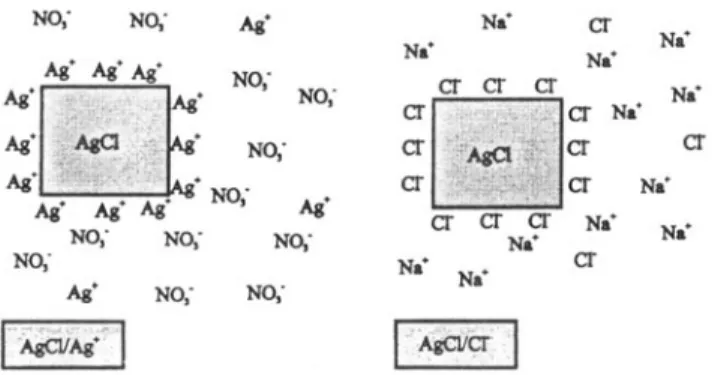 Figure  3.  Surface of AgC1 for different concentrations of Ag ÷ and C1- ions in the  solution