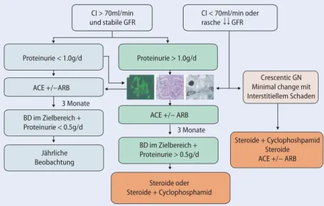 Abb. 5  8   Therapeutisches Vorgehen bei Erstdiagnose einer IgAN (nach Laville M. und Alamartine E