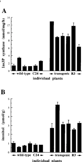 Figure 4. Ins3P synthase activity and inositol levels in wild-type and TUR1-transgenic R3 plants