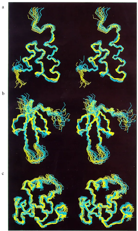 Fig. 2. Stereoviews of NMR conformers obtained using either interactive NOESY cross-peak assignments (yellow) or automatic assignments with NOAH/DIANA (cyan): (a) Er-2; (b) hirudin (1–51); (c) 434(R10M) (1–63)
