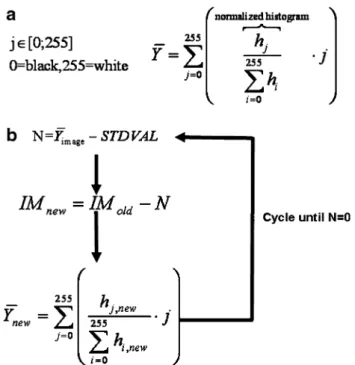 Figure 1b illustrates the procedure for a set of images.