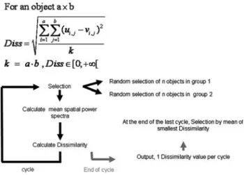 Fig. 3 Dissimilarity equation (upper panel) and illustration of the computation cycle that enables the comparison of Dissimilarity values between the different choices of images for each stimulus condition (lower panel)