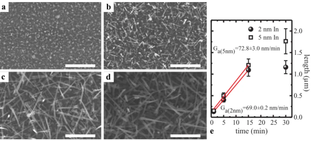 Fig. 2 Top-view SEM images of indium-catalyzed silicon nanowires grown at 600 ◦ C for 1 min (a), 5 min (b), 15 min (c) and 30 min (d)
