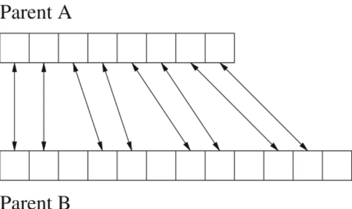 Fig. 7 Possible patch gene exchanges in intermediate crossover