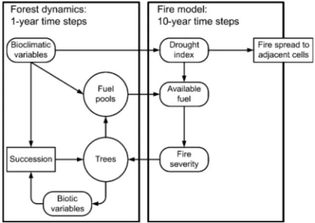 Figure 1. Overview of the structure of L AND C LIM .
