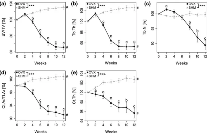 Fig. 2 Static bone morphometric parameters over time. a Trabecular bone volume fraction (BV/TV), b trabecular thickness (Tb.Th), c trabecular number (Tb.N), d cortical area fraction (Ct.Ar/Tt.Ar), e cortical thickness (Ct.Th)