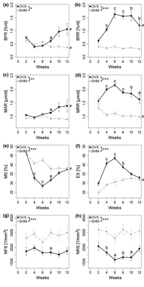 Fig. 3 Dynamic bone morphometry over time. a Bone formation rate (BFR), b bone resorption rate (BRR), c mineral apposition rate (MAR), d mineral resorption rate (MRR), e mineralizing surface (MS), f eroded surface (ES), g number of formation sites per bone