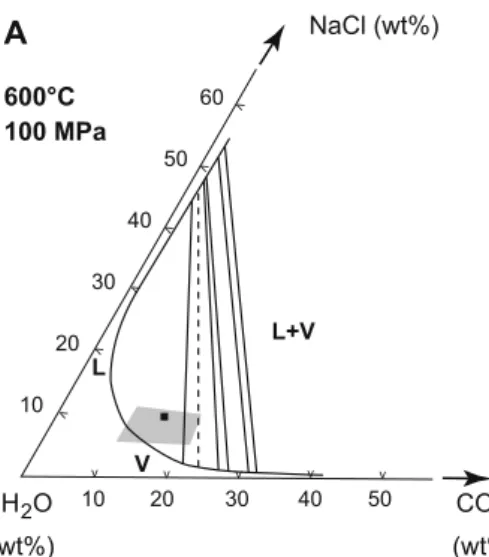 Fig. 9 Triangular plots showing the immiscibility boundaries and tie lines in the NaCl–H 2 O–CO 2 system as a function of temperature and pressure (modified from Frantz et al