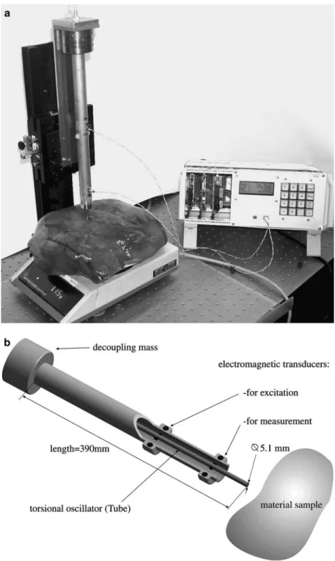 Fig. 1 Torsional Resonator Device (TRD): photograph (above) and sketch (below)