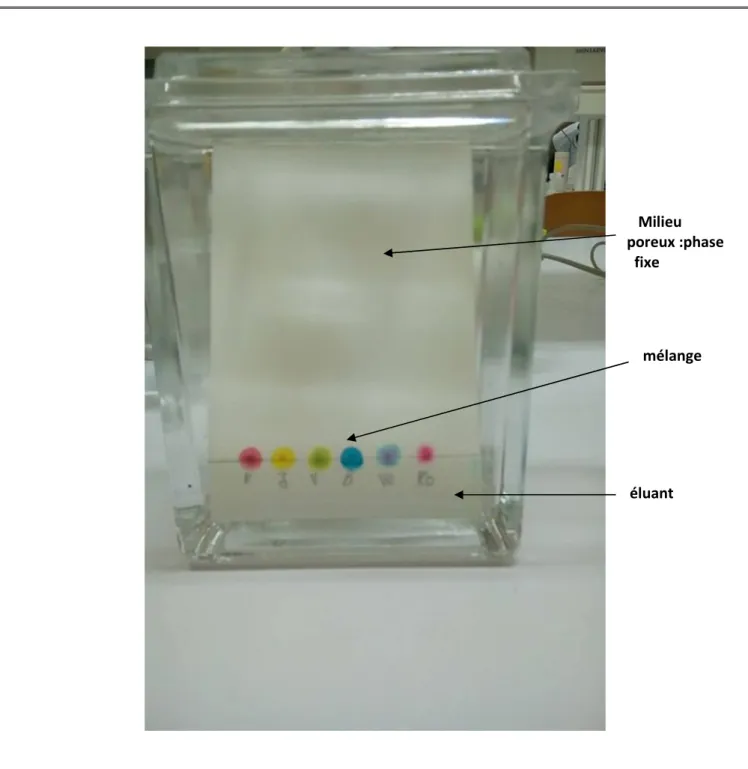 Fig 2: le principe de la chromatographie sur couche mince 