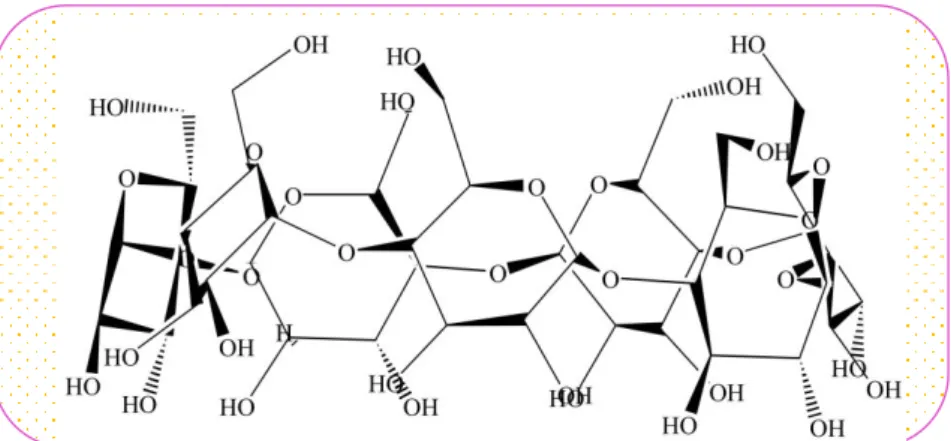 Figure I. 2 : Structure générale de la  -cyclodextrine (vue de face).