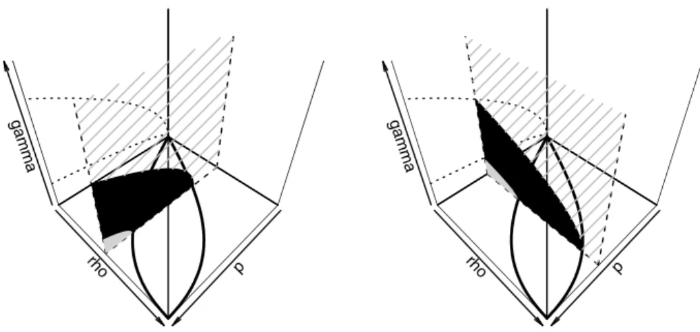 Fig. 11 Two qualitative sections of the phase diagram described in Conjecture 3.5 for fixed ρ (on the left) and p (on the right)