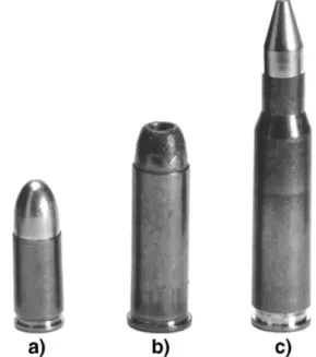 Fig. 2 Screenshot of a two-dimensional reconstruction of a 2.5-mm thick slice of gelatine upon which a 7.62×51 RWS Cone-Point was fired