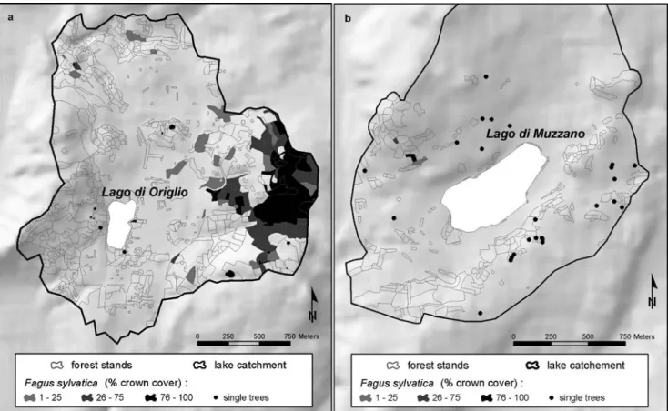 Fig. 2 Distribution of Fagus sylvatica according to the field survey of the vegetation in the lake catchments; a Lago Origlio; b Lago Muzzano