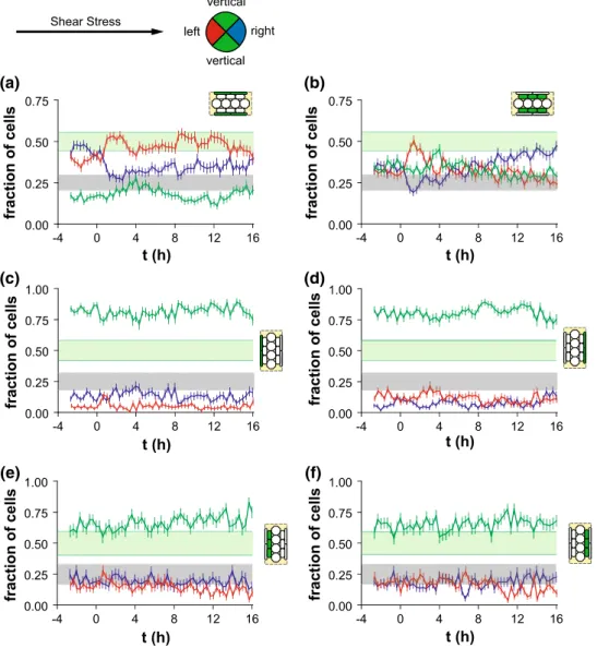FIGURE 4. Distribution of migration directions before and after onset of steady unidirectional shear stress for ECs (a, b) on horizontal wide patterns (a) in the edge zone (<N> = 318 cells) and (b) in the middle zone (<N> = 302 cells)