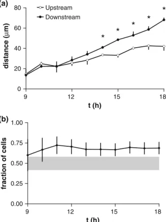 FIGURE 7. Fractions of left-migrating (upstream), right- right-migrating (downstream), and vertically right-migrating single cells (a) on the left edge and (b) on the right edge of vertical wider patterns