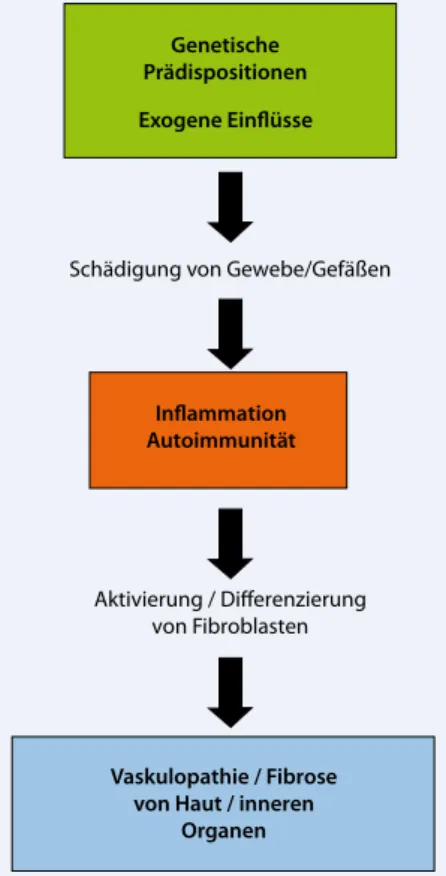 Abb. 1  8  Pathogenese der systemischen Skle-  rose (Hauptmerkmale farbig hervorgehoben)