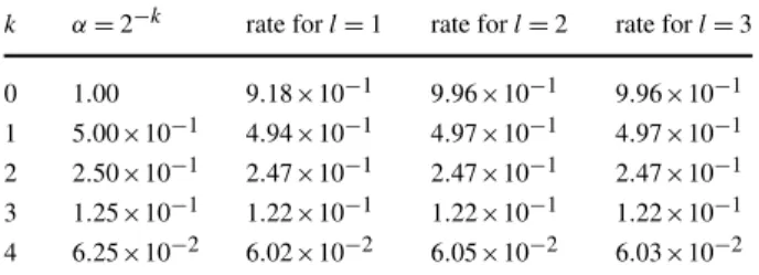 Table 1 Convergence rates for NIPG with piecewise linears, quadratics and cubics