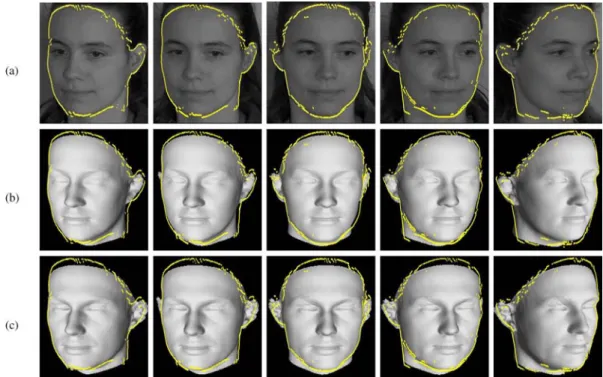 Figure 6. Head modeling using morphable face models. (a) Five of the seven images we used