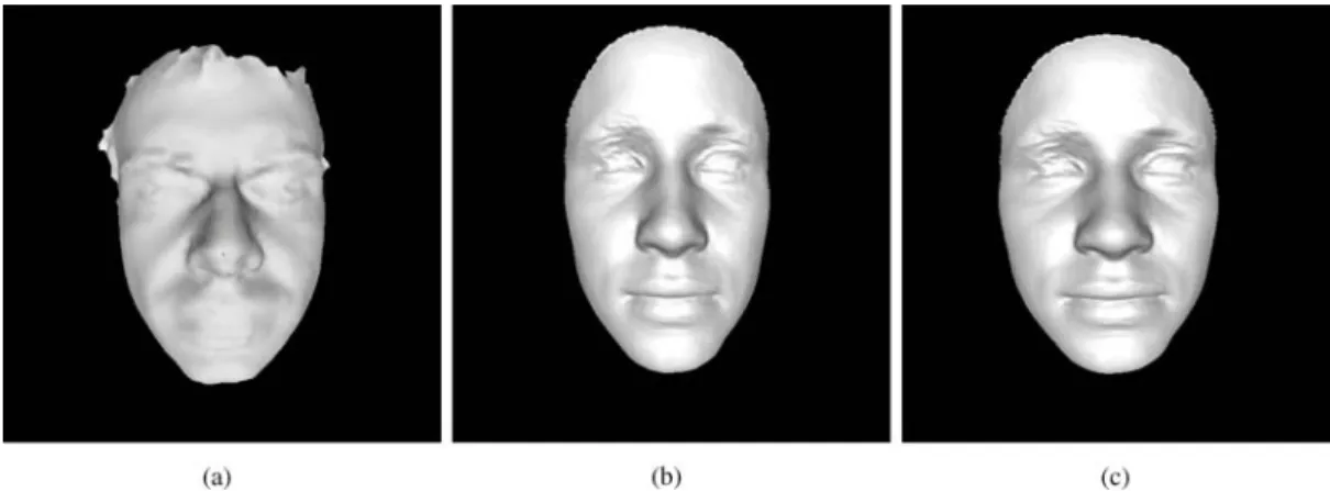 Figure 8. Comparing against Laser Scanner Data. (a) Laser scan of the subject of Fig. 7