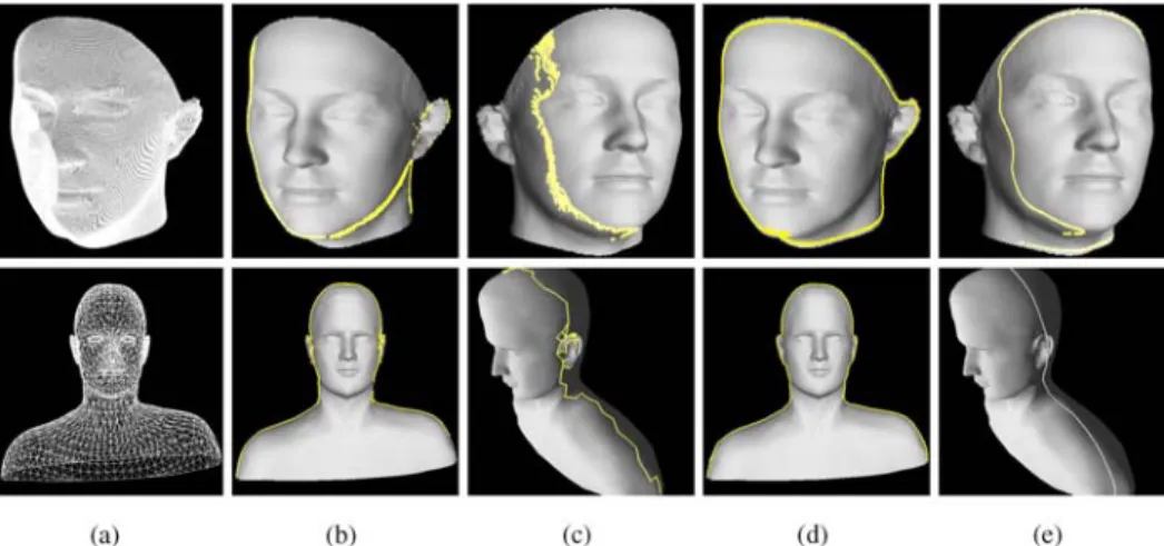Figure 3. Occluding contours on explicit versus implicit meshes. (a) High resolution mesh of the face and low resolution mesh of the upper body