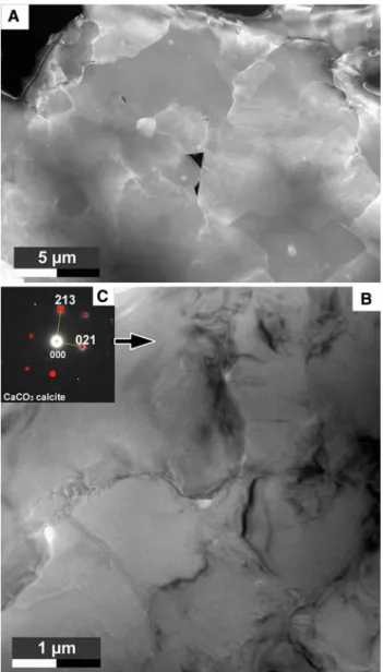 Fig. 2 Backscattered SEM image of micrite crystals (sample from Iraq, 3,816 m) presenting different orientations (bright to dark grey) relative to each other