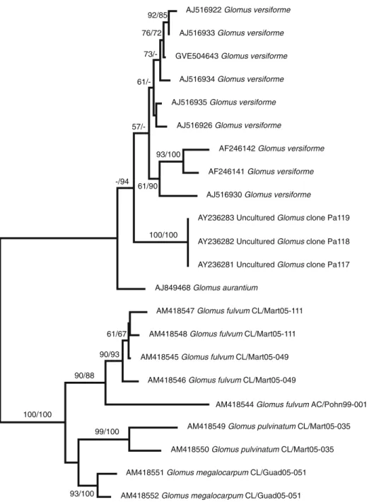 Figure 4 shows a phylogenetic tree obtained by Bayesian analysis of partial 18S subunit sequences