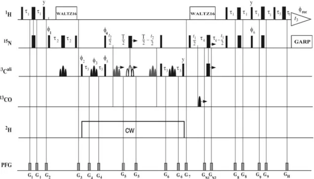 Fig. 1 Pulse sequence of the 3D ct-HN(CA)CB experiment for measurements of R = R HN/CbCc ? R HCb/NCc in [ASP, ASN, HIS, PHE, TYR, TRP] residues