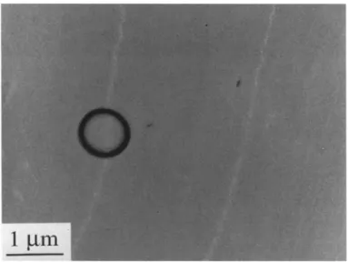 Fig.  4  Lattice image in a thin film of iPP isothermally  crystallized at  120 ~  obtained at  about  -  75 nm defocus 