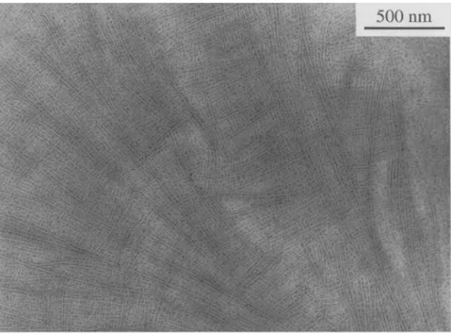 Fig.  11  The cross-hatched  lamellar structure  of a  70 nm  thick iPP  film crystallized  at  110 ~  and  stained  with  R u O   4  vapour 