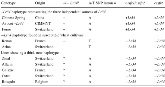 Table 3 Lr34 allele status of genotypes with previously uncertain Lr34 gene postulations