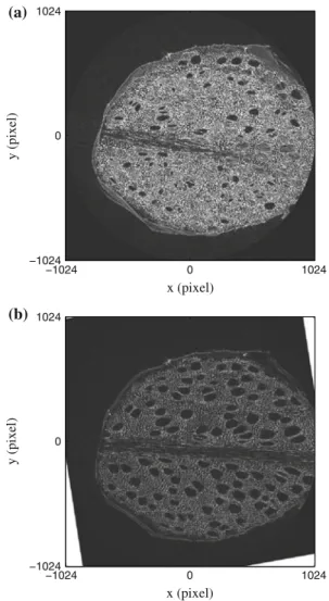 Fig. 15 Example of a deformation estimation result for the 3d beech dataset. Pointwise absolute difference between the dry state and the wet state at z = 200 (a)