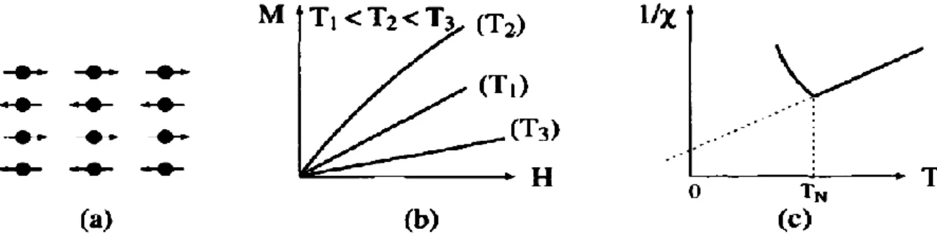 Figure I.4 : L’antiferromagnétisme : (a) Un réseau de spins ; (b) Variation de  l'aimantation sous champ appliqué ; (c) Variation thermique de 1/χ ; (d) Variation 