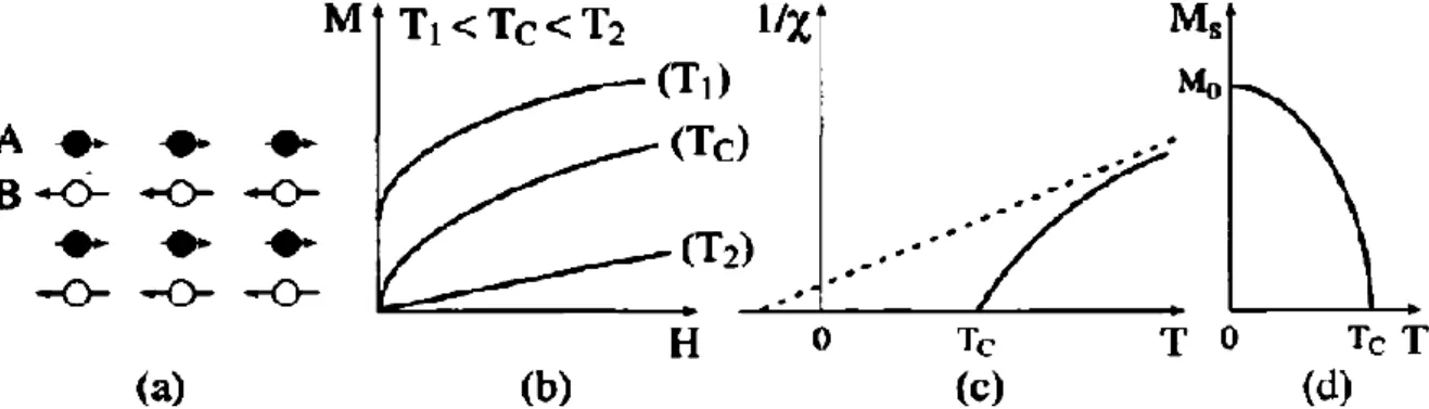 Figure I.5 : Le ferrimagnétisme : (a) Un réseau de spins ; (b) Variation de  l'aimantation sous champ appliqué ; (c) Variation thermique de 1/χ ; (d) Variation 