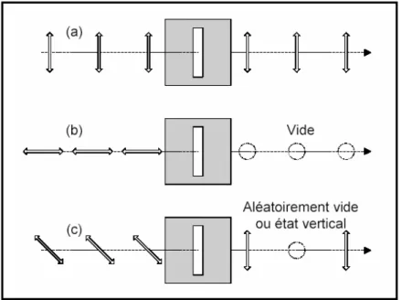 Figure I.8.  Photon unique traversant un filtre ne laissant passer que   la lumière polarisée verticalement