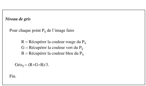 Figure 2.3 : Algorithme niveau de gris 